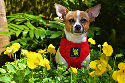 Ecobark Dog Harness, Soft Mesh over the Head Vest Harness, Red, Small | Luxurious Eco Friendly No Pull & No Choke Design, Padded Breathable Body Halter, anti Rub, for Puppy, Toy & Small Breeds4
