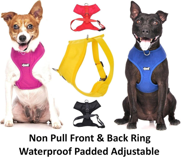 Dexil Limited Adopt ME (I Need a New Home) Yellow Color Coded Non-Pull Front and Back D Ring Padded and Waterproof Vest Dog Harness Prevents Accidents by Warning Others of Your Dog in Advance (S)9
