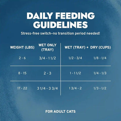 Forza10 Renal Wet Cat Food for Adult Cats - 3.5 Oz, 12 Pack - Lamb Flavor | Actiwet Renal Support - Vet-Formulated, Non-Gmo - Kidney Support for Adult Cats - Made in Italy5