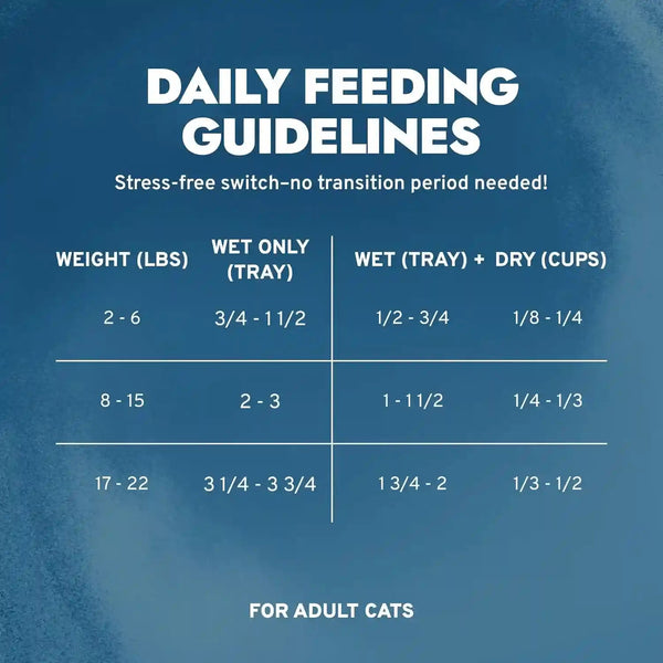 Forza10 Renal Wet Cat Food for Adult Cats - 3.5 Oz, 12 Pack - Lamb Flavor | Actiwet Renal Support - Vet-Formulated, Non-Gmo - Kidney Support for Adult Cats - Made in Italy5