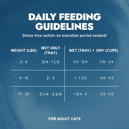 Forza10 Renal Wet Cat Food for Adult Cats - 3.5 Oz, 12 Pack - Lamb Flavor | Actiwet Renal Support - Vet-Formulated, Non-Gmo - Kidney Support for Adult Cats - Made in Italy5