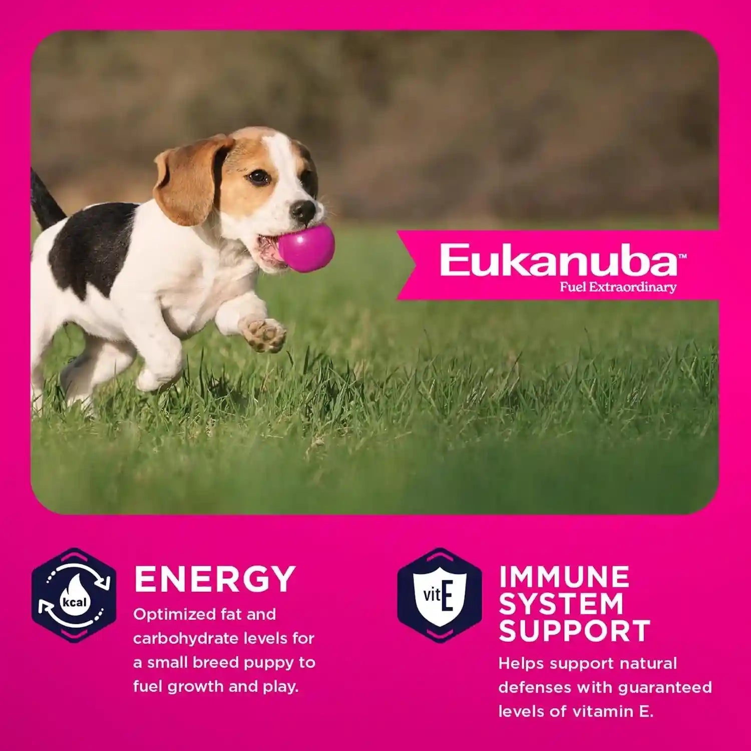 eukanuba-puppy-small-breed-dry-dog-food-4-5-lb-bag