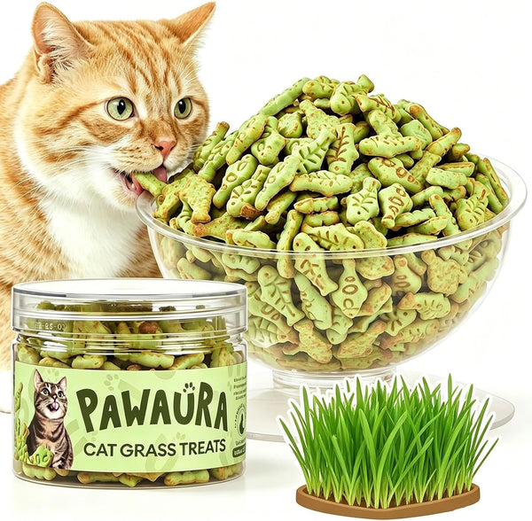 3.53Oz Cat Grass Treats for Hairball Control, Digestive | Natural Chicken & Catnip Biscuits, Low-Calorie Healthy Snacks for Indoor Cats, Dental Care1