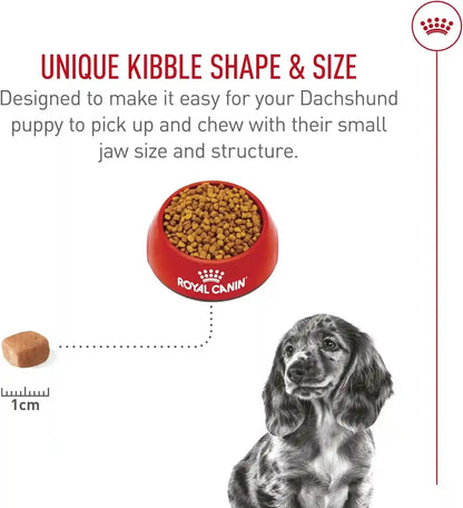 ROYAL CANIN Breed Health Nutrition Dachshund Puppy Dry Dog Food, 2.5 Lb Bag | Specialized Nutrition for Dachshund Puppies, Supports Healthy Growth, Tailored Kibble Shape, 2.5 Pound Bag5