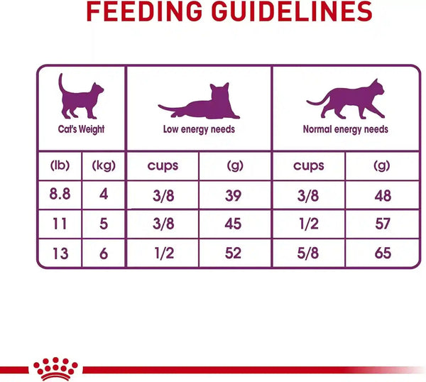 ROYAL CANIN Feline Health Nutrition Sensitive Digestion Adult Dry Cat Food, 7 Lb Bag7