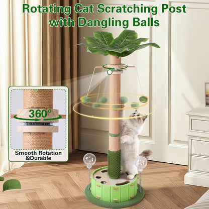 Plam Tree Cat Scratching Post 40" Tall with Cat Toys for Indoor Large Cats | Sturdy Base Cat Scratcher Posts for Adult Cats with Rotating Hanging Ball, Cat Puzzle Toy and Spring Cat Treat Dispenser3