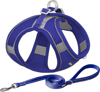 AIITLE No Pull Dog Harness and Leash Set, Step in Adjustable Dog Harness with Padded Vest for All Weather, Dog Leash with Soft Padded Handle, Easy to Put on Small and Medium Dogs Beige S14