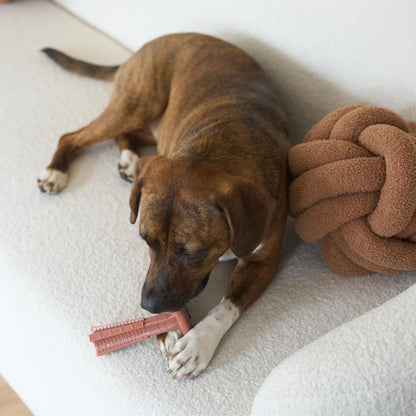 SPOT Bam-Bones plus T Bone – Bamboo Fiber & Nylon Dog Chew Toy for Moderate to Aggressive Chewers, Durable Long Lasting & Non-Splintering, Beef Flavor Toy for Adult Dogs & Puppies under 60 Lbs, 6 In12