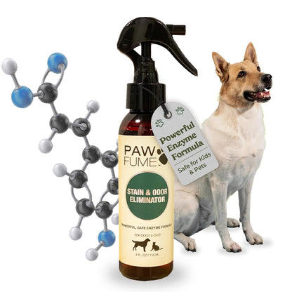 PAWFUME Dog Perfume Spray Long Lasting Scent for Grooming, Show Dog, 1-Pack – Keep Your Pup Fresh All Day – Hypoallergenic, Alcohol-Free, Detangling Formula – Moisturizing Pet Cologne Spray for Dogs10