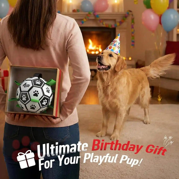 QDAN Dog Toys Dog Balls, 6 Inch Dog Soccer Ball with Straps, Herding Balls | Dog Birthday Toy, Balls for 20-40Lbs Dogs, Outdoor Puppy Toys to Keep Them Busy, Interactive Toy for Tug, Pool Water Toy Ball3