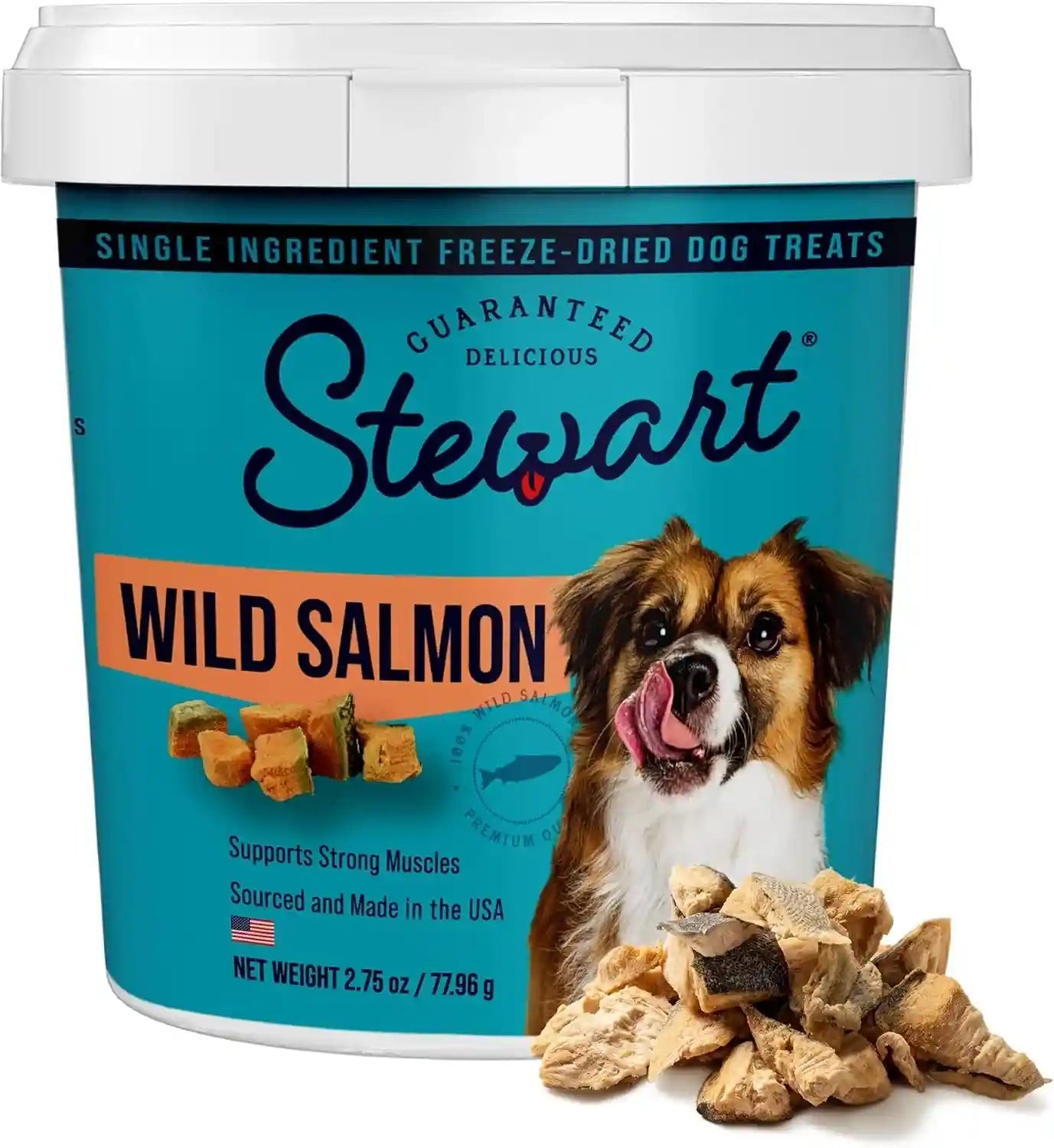 stewart-freeze-dried-dog-treats-100-wild-salmon-9-5-oz-tub-premium-quality-raw-protein-single-ingredient-high-protein-training-treats-food-topper-no-refrigeration-cat-friendly