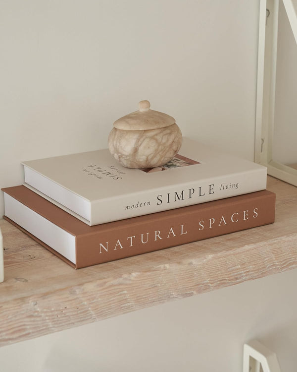 Beautiful Decorative Books Set of 2 Boxes for Coffee Table & Mantel Decor | Aesthetic Modern Home Decoration for Your Bookshelf or Mantel Shelf, Fake/Faux Books Double as Photo Storage or Keepsake Box5