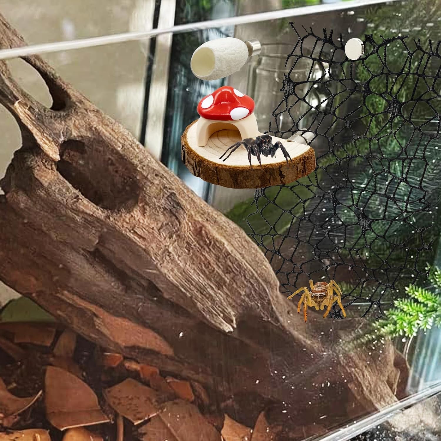 jumping-spider-habitat-accessories-enclosure-habitat-accessories-jumping-spider-web-climbing-and-feeding-platforms-with-magnets-for-small-insects-critters