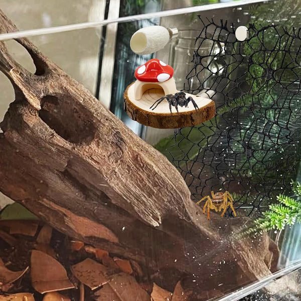 Jumping Spider Habitat Accessories Enclosure Habitat Accessories Jumping Spider Web Climbing and Feeding Platforms with Magnets for Small Insects Critters7