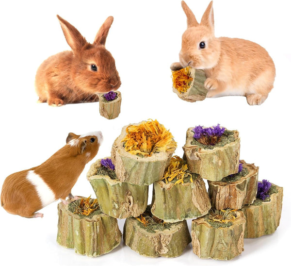 Abizoo Rabbit Chew Toys for Bunny Natural Papaya Wood Chew Treats with Organic Alfalfa Hay, Dried Carrot, Apple and Sweet Potato for Rabbits Guinea Pigs Hamsters Chinchillas Gerbils(3.5Oz/100G)9