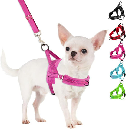 Slowton No Pull Small Dog Harness and Leash Set, Puppy Soft Vest Harness Neck & Chest Adjustable, Reflective Lightweight Harness & Anti-Twist Pet Lead Combo for Small Medium Dogs (Fuchsia, XXS)1