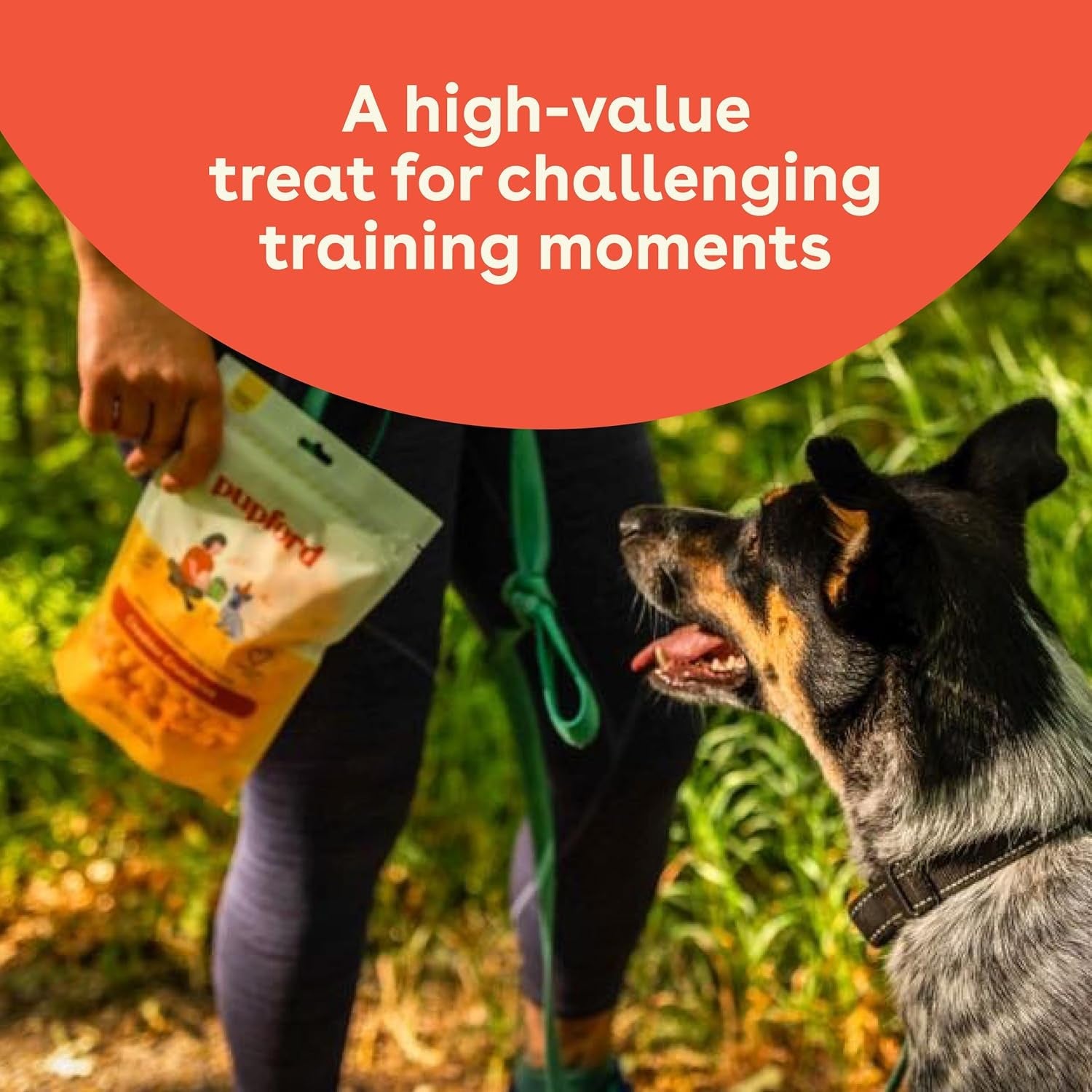 pupford-cheese-crunchies-all-natural-healthy-freeze-dried-single-ingredient-treat-for-dogs-puppies-cheddar-7-oz