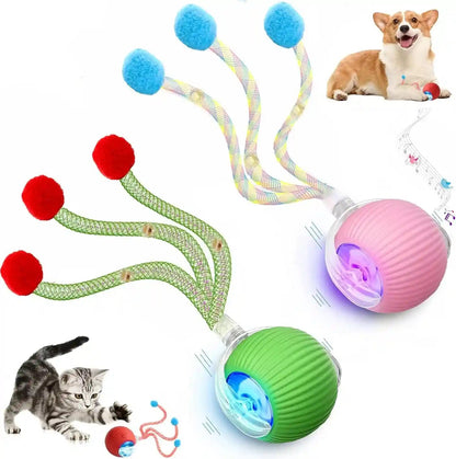 2 Packs Speed 2.0 Tail Interactive Cat Toys for Indoor Cats, Chirping & Motion Activate Cat Toy, Smart Kitten Rolling Ball Moving Ball Toys, Rechargeable Dog Cats Bal L for Enrichment Exercise14