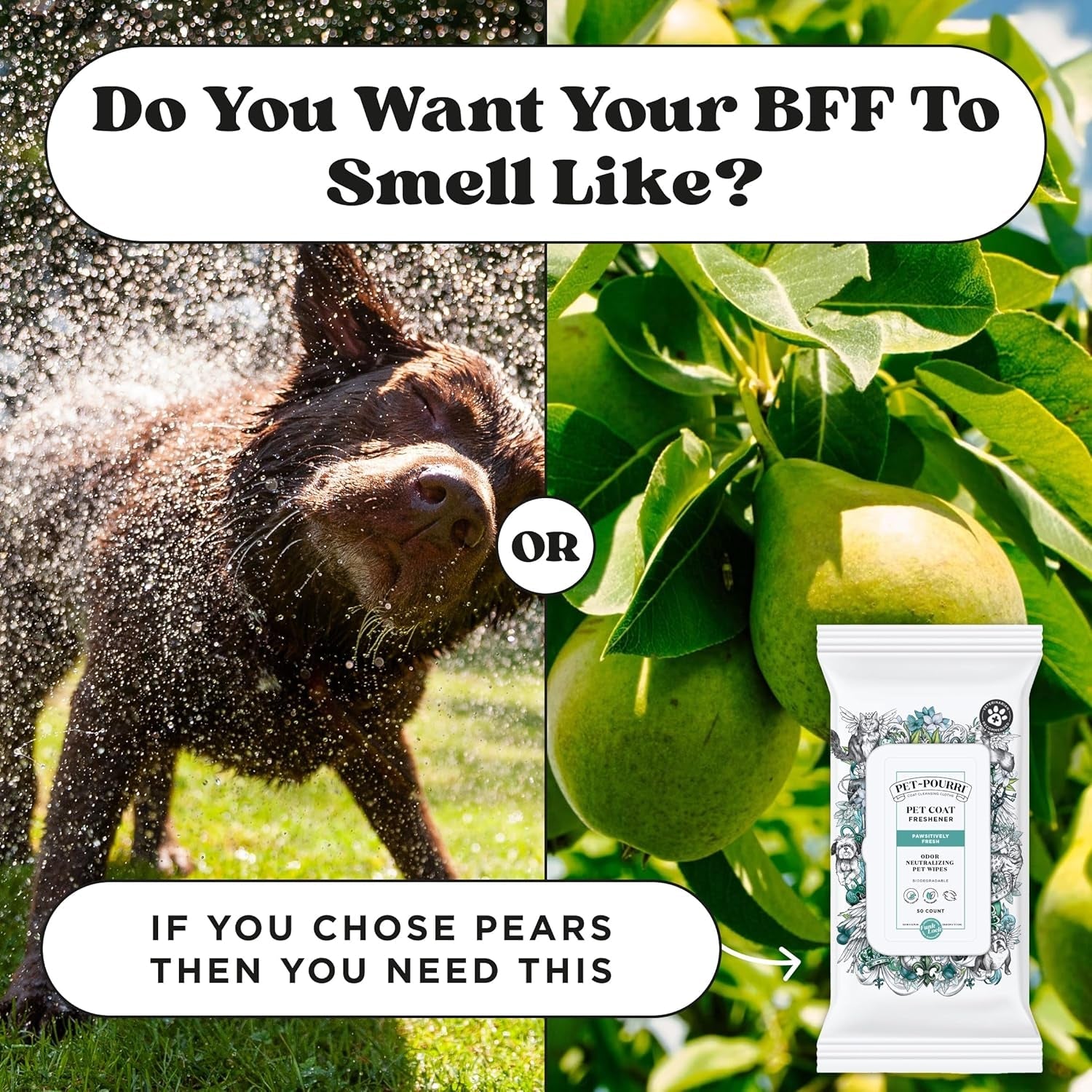 poo-pourri-pawsitively-fresh-deodorizing-pet-wipes-quick-cleaning-wipes-for-dogs-cats-plant-based-ingredients-vet-recommended-cleaner-odor-remover-wipes-for-paw-fur-skin-soothing