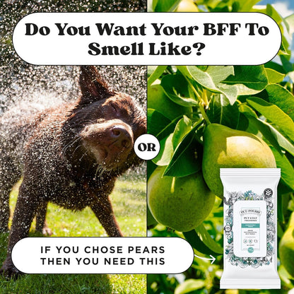 Poo-Pourri Pawsitively Fresh Deodorizing Pet Wipes – Quick Cleaning Wipes for Dogs & Cats – Plant Based Ingredients – Vet Recommended – Cleaner Odor Remover Wipes for Paw, Fur & Skin Soothing9
