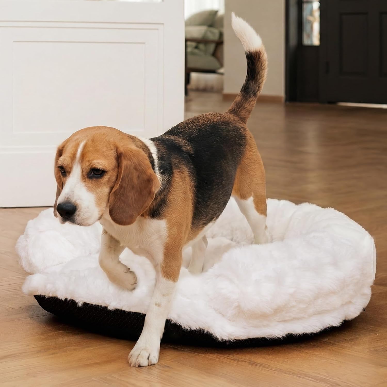 dog-bed-couch-sofa-for-small-medium-dogs-cats-30x30x9-round-white-round-plush-orthopedic-washable-removable-cover-anxiety-relief