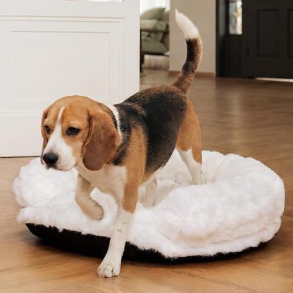 Dog Bed Couch Sofa for Small Medium Dogs Cats 30X30X9 round White | round Plush, Orthopedic, Washable, Removable Cover, Anxiety Relief8