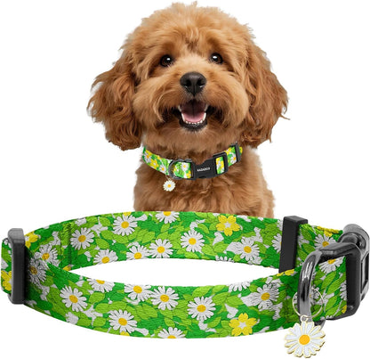 Kazazoo Dog Collar Cute and Soft Nylon Puppy Collar Girl Dogs, Adjustable Purple Dog Collars for Medium Dogs, Purple Flowers-M15