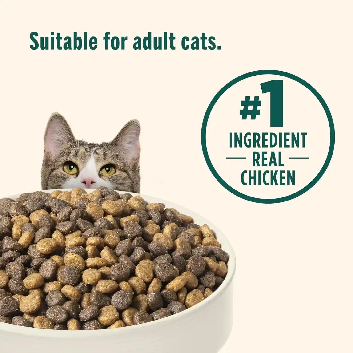 nutrish-indoor-complete-dry-cat-food-6-lb-bag-rachael-ray-chicken-lentils-salmon-recipe-crafted-for-adult-indoor-cats-veterinarian-reviewed-formula