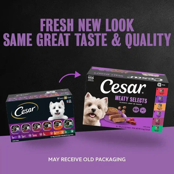 Cesar Wet Dog Food Classic Loaf in Sauce Grilled Chicken, Filet Mignon, Porterhouse Steak, Beef, Chicken & Liver and Turkey Variety Pack 3.5 Oz. Easy Peel Trays (36 Count, Pack of 1) | Made in USA, Real Meat #1 Ingredient, No Fillers or Artificial Flavors, Formulated without Grains, Easy Peel Trays2