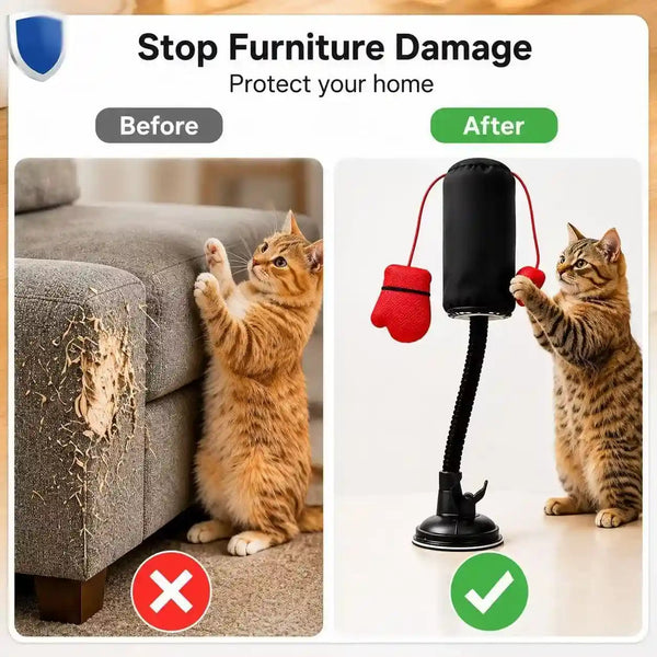 MOYEE Cat Punching Bag Toy, Interactive Punch Cat Toy with Dangling Boxing Gloves, Sturdy ABS Suction Cup Base Wobble Cat Boxing Toy for Indoor Cats Exercise & Mental Stimulation4