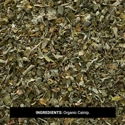 Frontier Co-Op Organic Catnip, 1-Pound Bulk, Loved by Cats & Gardeners, Popular Tea Blend, Organic, Kosher2