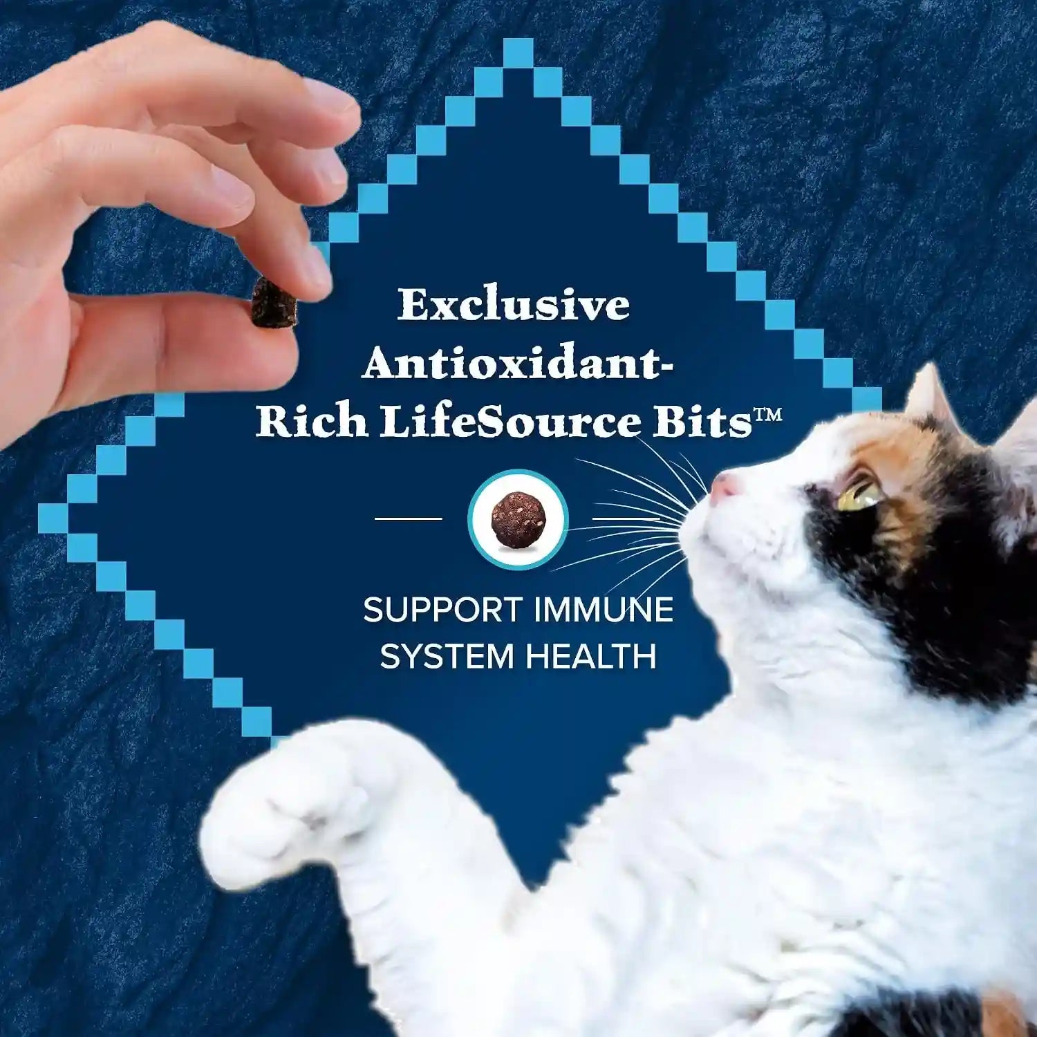 blue-buffalo-wilderness-chicken-natural-high-protein-grain-free-dry-food-for-adult-indoor-cats-real-chicken-first-antioxidant-rich-lifesource-bits-support-immunity-promotes-strong-muscles-5-lbs
