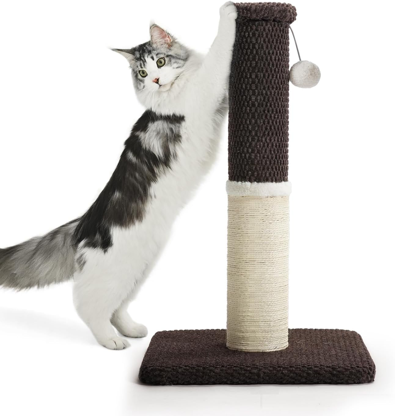 made4pets-tall-cat-scratching-post-with-sisal-carpet-for-indoor-cats-33-cat-scratcher-with-wide-stable-base-interactive-hanging-toys-ideal-for-adult-cats-large-breeds-and-full-body-stretching