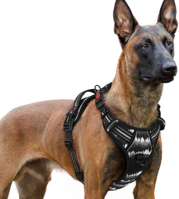 Rabbitgoo Dog Harness Medium Sized, Updated Easy on & off with 3 Buckles | No Pull No Choke, Walking with 2 Clips and Handle, Adjustable Soft Reflective, Blue, Medium77
