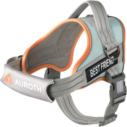 AUROTH Dog Harness and Leash Set, Soft Padded Service Dog Vest with 5.25FT Dog Leash, No Choke, Easy on Pet Vest, Adjustable Reflective No Pull Pet Vest Medium Sized Dog, Easy Walking and Training27