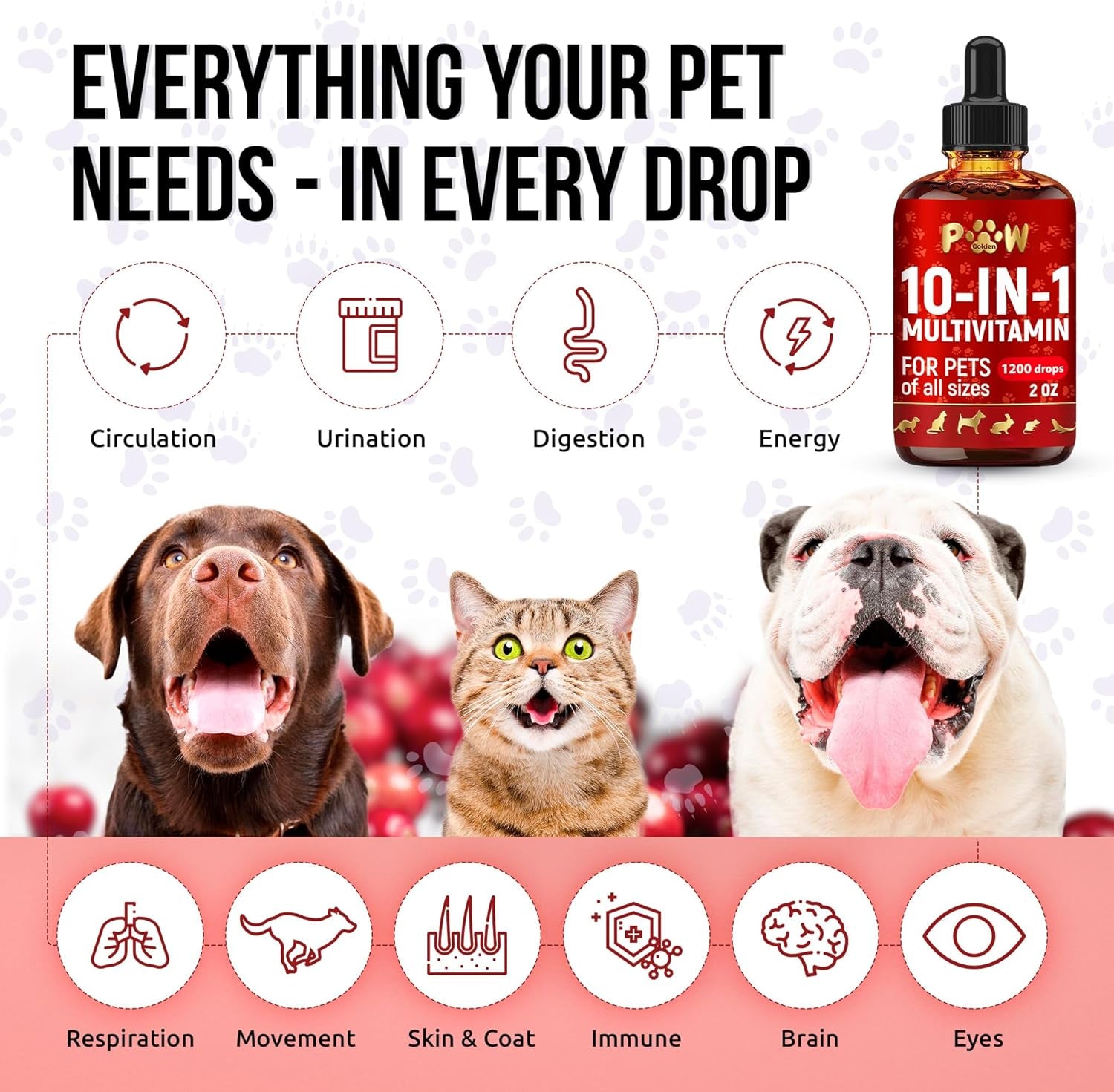 liquid-multivitamin-for-dogs-with-glucosamine-help-with-allergies-utis-dog-vitamins-and-supplements-cat-multivitamin-for-hips-joints-b-c-d3-for-coat-shining-digestion-2-oz