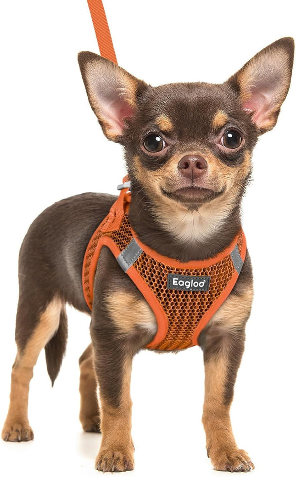 Eagloo Small Dog Harness and Leash Set, Step in Small Sized Puppy Pet Vest | Light, Soft, Breathable Air Mesh, Easy on and off with Hook & Loop, Reflective for Safe Walking, Pink, S50