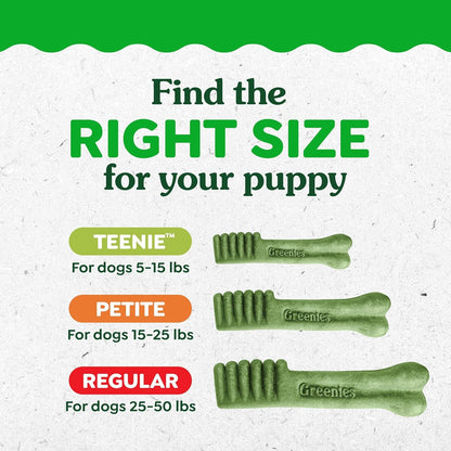 Greenies Puppy Regular Natural Dental Dog Treats, Original Flavor, 12 Count | Veterinarian-Recommended, Natural Ingredients, Cleans Teeth & Freshens Breath, for Puppies 25-50 Lbs, 6 Oz. Pack12