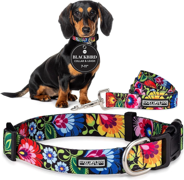 Lucky Love Dog - Easy Click Buckle Dog Collar with Leash Set Combo, Durable & Comfortable for Male & Female Dogs, Pet Collar for Medium Dogs, Secure Fit - Blackbird Combo, Medium92