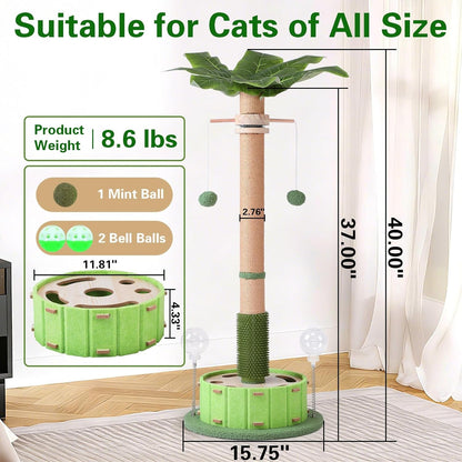 Plam Tree Cat Scratching Post 40" Tall with Cat Toys for Indoor Large Cats | Sturdy Base Cat Scratcher Posts for Adult Cats with Rotating Hanging Ball, Cat Puzzle Toy and Spring Cat Treat Dispenser4