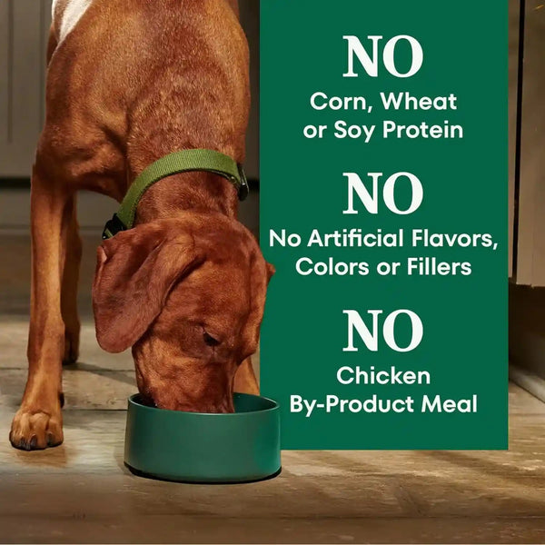 Nutro Natural Choice Healthy Weight Dry Dog Food, Chicken & Rice, 30 Lb | Non-Gmo, Chicken #1 Ingredient, No Corn, Wheat, Soy, Supports Weight Loss, Skin & Coat, Digestive & Immune Health7