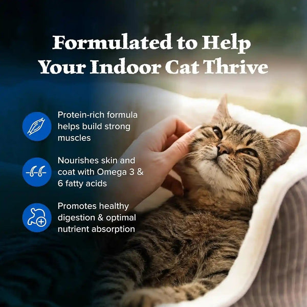 Blue Buffalo Wilderness Chicken Natural High-Protein Grain-Free Dry Food for Adult Indoor Cats, Real Chicken First, Antioxidant-Rich Lifesource Bits Support Immunity, Promotes Strong Muscles, 5 Lbs.4