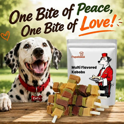 Dog Treats, Multi-Flavored Kabobs Dog Snacks, High Protein Dog Dental Chews | Made with Real Chicken, Duck, Beef, Rabbit, Salmon, Natural Dog Training Treats for Small Medium Large Dogs, 10.6Oz8
