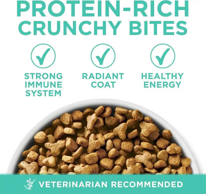 Purina ONE Sensitive Stomach, Sensitive Skin, Natural Dry Cat Food, +Plus Sensitive Skin and Stomach Formula - 7 Lb. Bag7