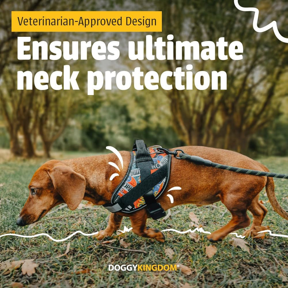 doggykingdom-no-choke-dog-harness-with-handle-and-patch-panels-adjustable-reflective-dog-vest-for-small-sized-dog-blue-s