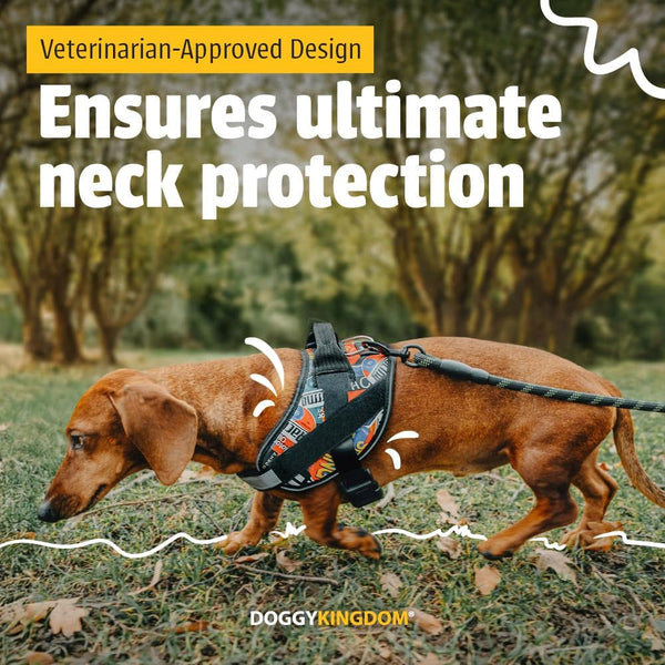 DOGGYKINGDOM No Choke Dog Harness with Handle and Patch Panels, Adjustable Reflective Dog Vest for Small Sized Dog, Blue, S3