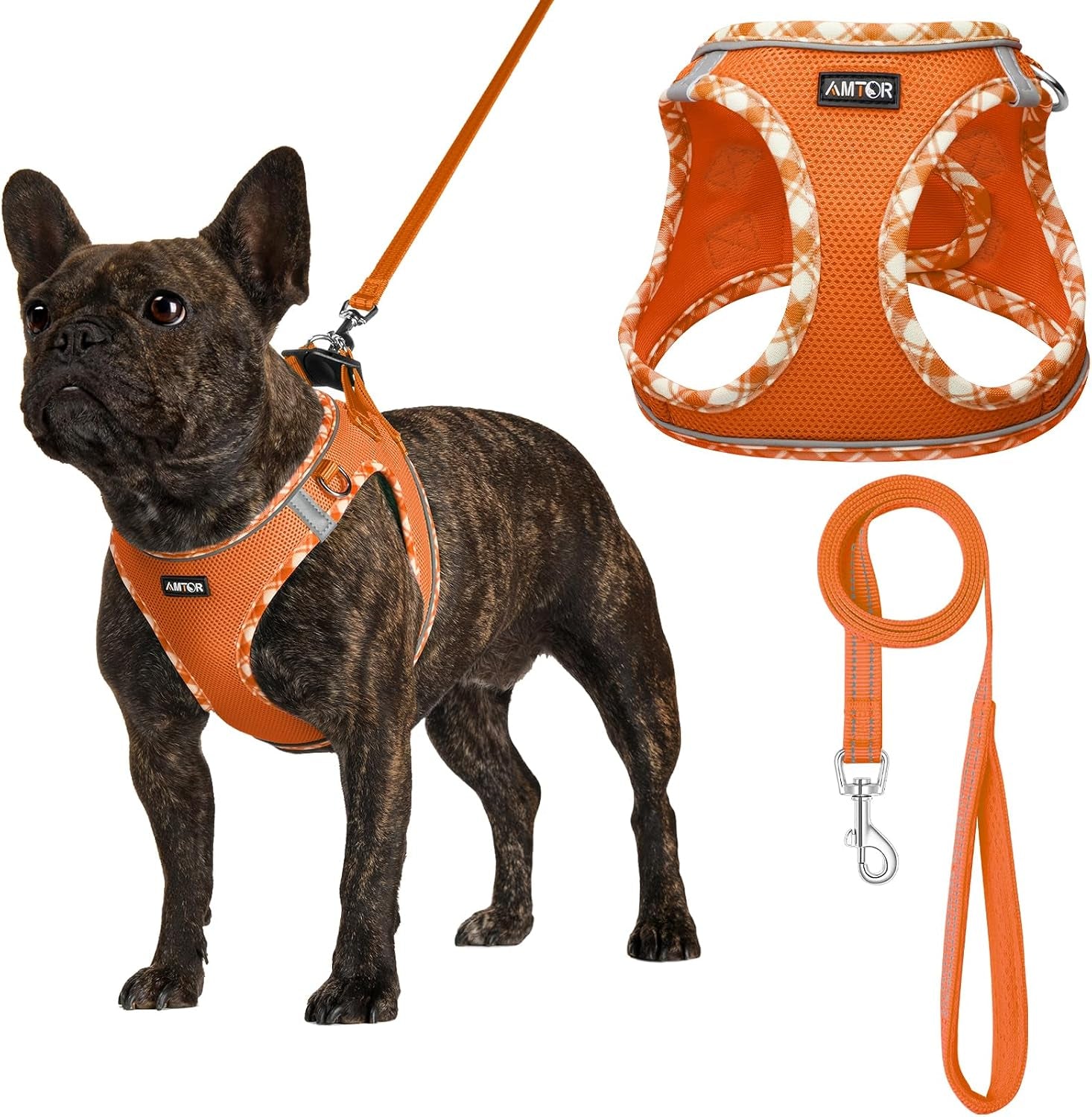 amtor-small-dog-harness-with-leash-set-no-escape-easy-walk-puppy-harnesses-for-training-walking-step-in-reflective-soft-dogs-vest-for-xs-s-medium-extra-small-large-sized-doggreen-s