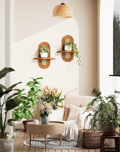 Floating Shelves for Wall, Boho Home Wall Decor,Rattan Plant Shelf Set of 2, Mid Century Small Decorative Shelf, Natural Wood Shelves for Living Room,Bedroom,House,Office (Walnut)2