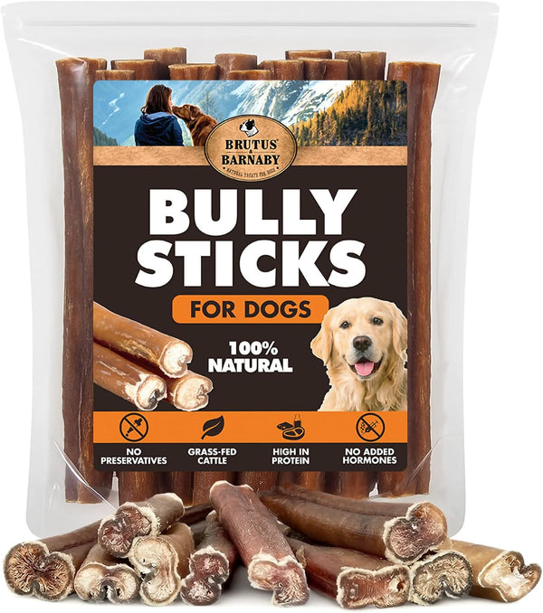 BRUTUS & BARNABY Bully Sticks for Small, Medium & Large Dogs, 6 Inch, 12 Ct | Long Lasting Thick Grass Fed Beef Pizzle Chew Treats, Odor Free and Rawhide Free, Great for Aggressive Chewers1