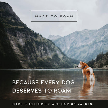 MADE to ROAM Control Dog Collar | Leather Handle & Heavy Duty Metal Buckle | Premium Adjustable Collar with Vegan Leather Handle. Fits Medium to Large Dogs. 15 Colors. Matching Leash & Harness9